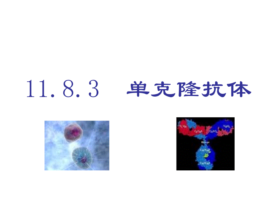 1183单克隆抗体_第1页