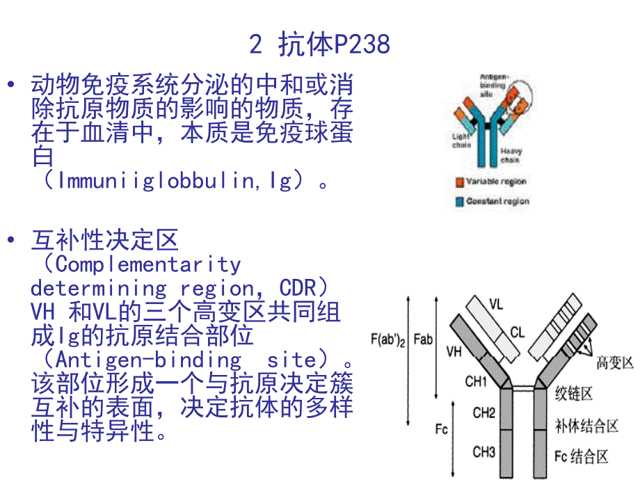 1183单克隆抗体_第4页