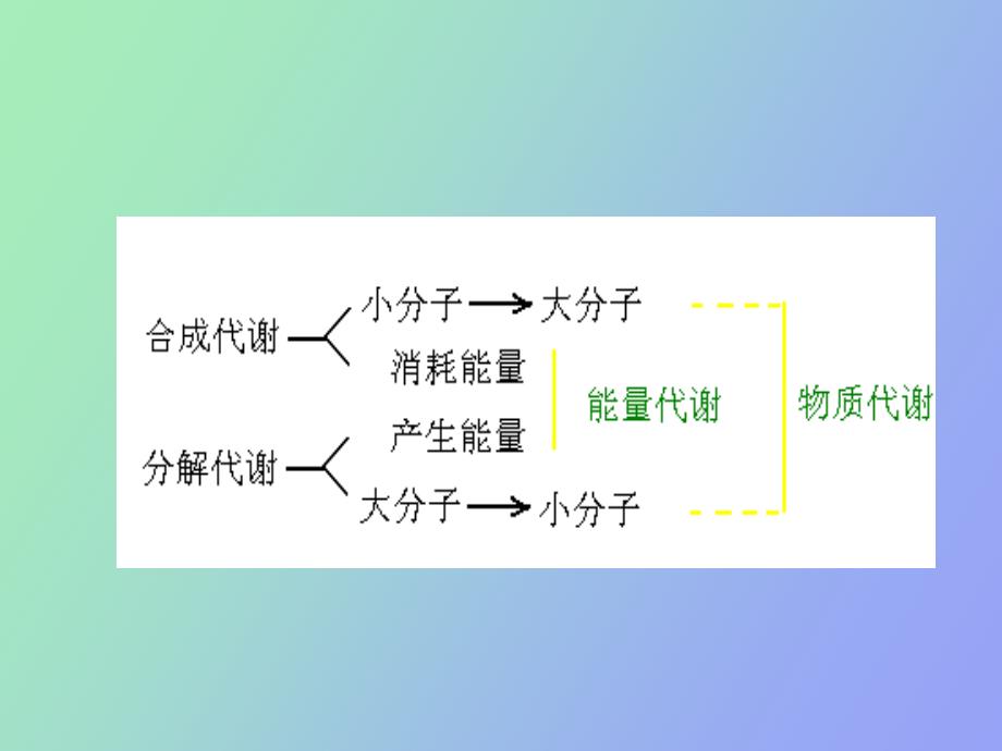 基础生物化学第九章生物氧化_第4页