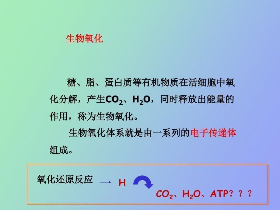 基础生物化学第九章生物氧化_第5页