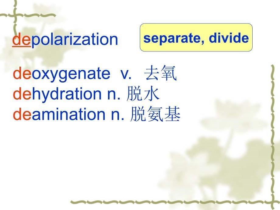 基础医学英语教学课件：Unit 12 Homeostasis_第5页