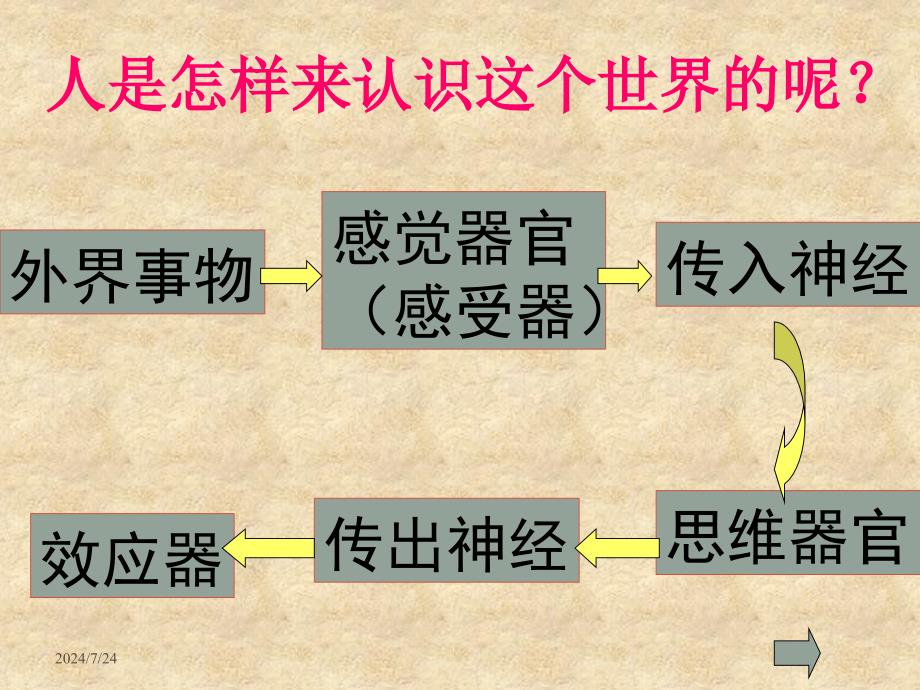 七年级科学下：第1章第7节 信息的获取和利用课件（浙教版）_第4页