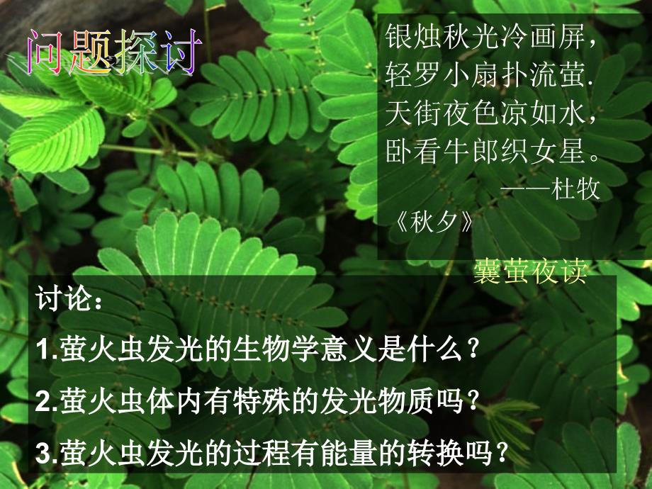 高中生物细胞的能量通货ATP_第2页