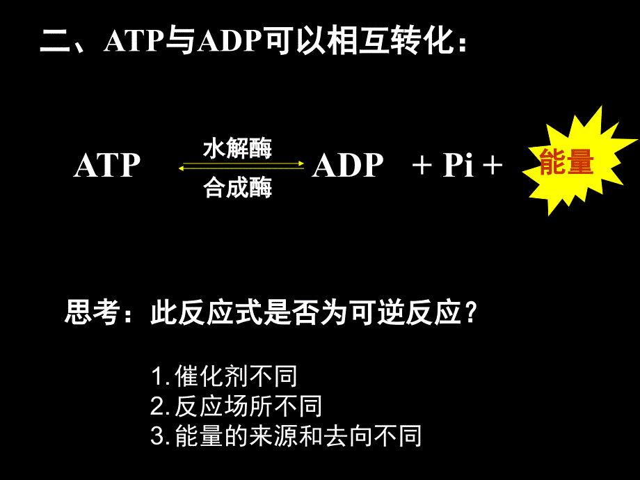 高中生物细胞的能量通货ATP_第4页