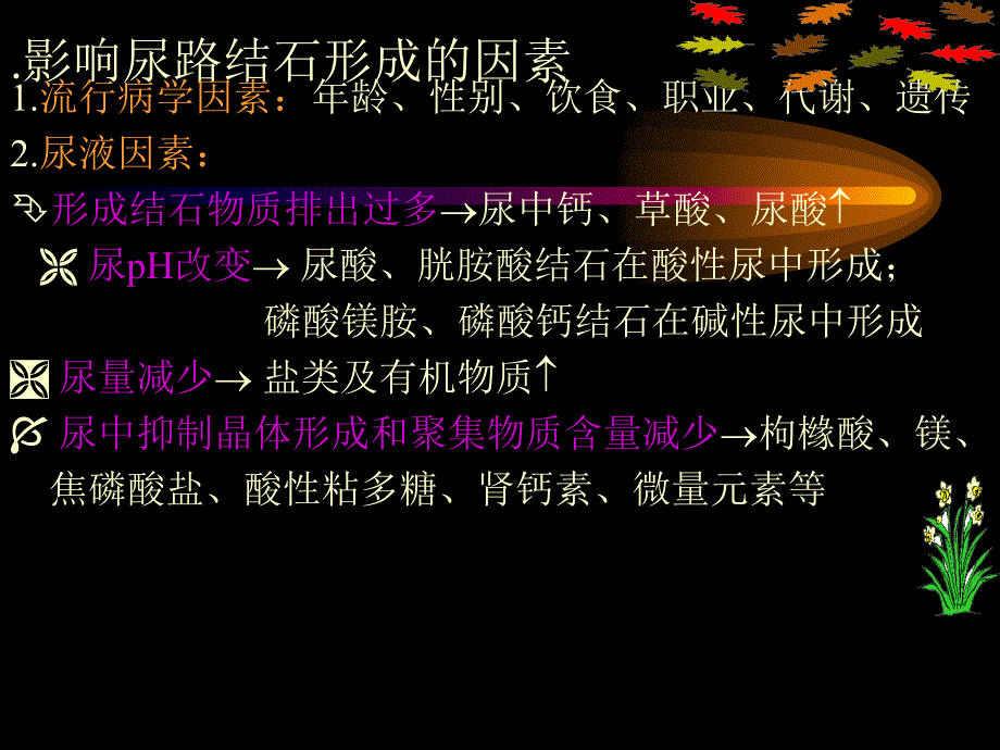 新版泌尿系统结石结核_第2页