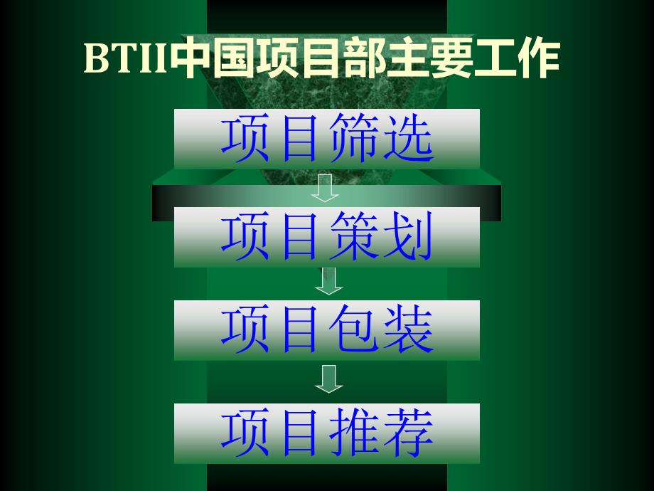 兆联公司与融资项目策划业务介绍_第4页