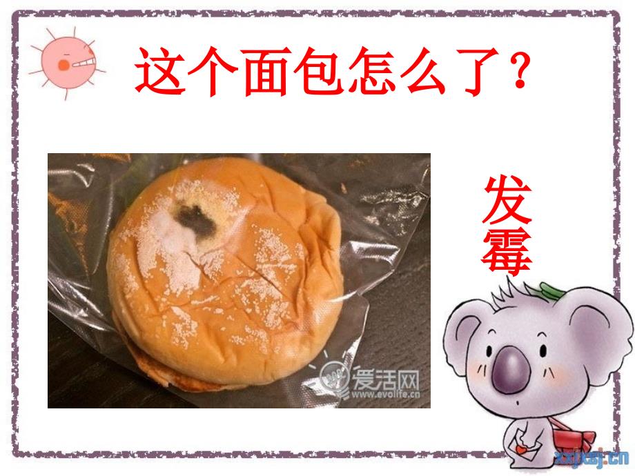 大班食品安全PPT.ppt_第4页