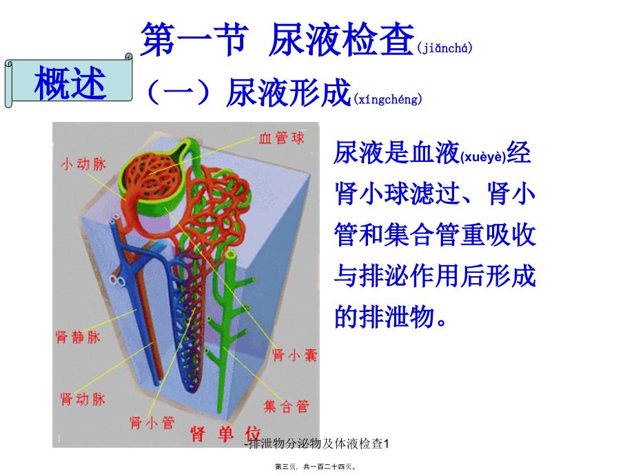 -排泄物分泌物及体液检查1课件_第3页