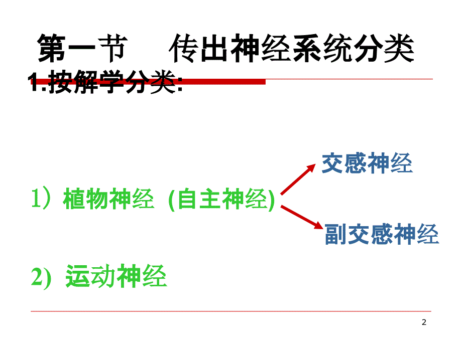 神经递质肾上腺素_第2页