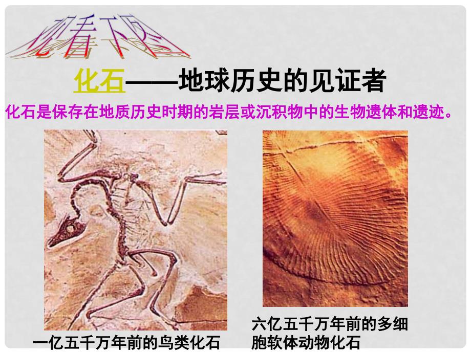 湖北省大冶市金山店镇车桥初级中学七年级语文《第四单元化石吟》课件_第1页