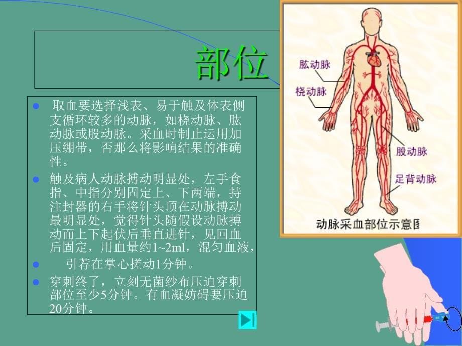 动脉血气分析和酸碱平衡ppt课件_第5页