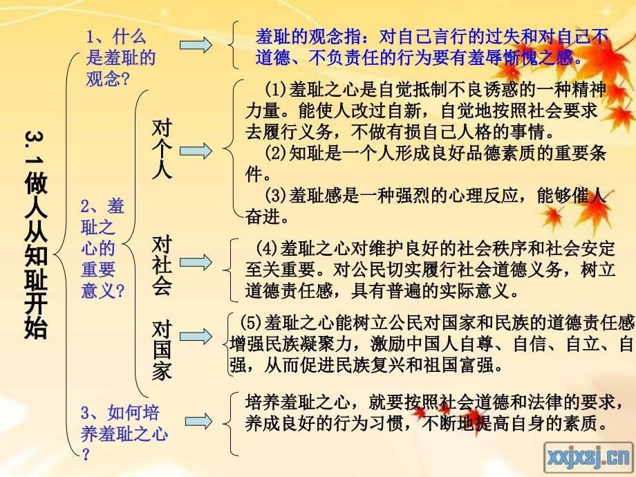 七年级上册1-6课知识框架结构_第5页