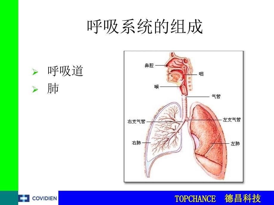 呼吸生理与呼吸机的基本模式_第5页