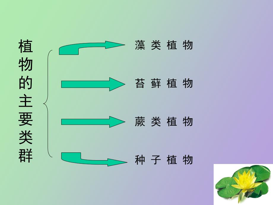 生物下册动物的主要群类_第2页