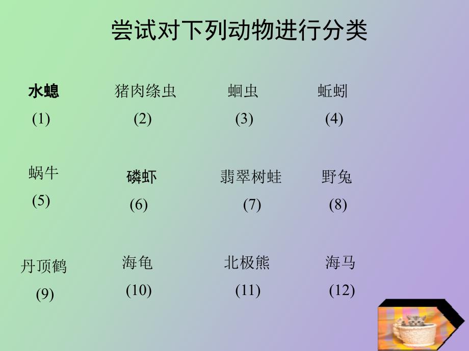 生物下册动物的主要群类_第3页