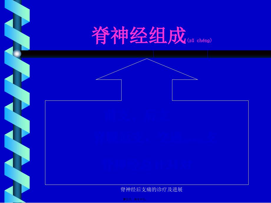 脊神经后支痛的诊疗及进展课件_第3页