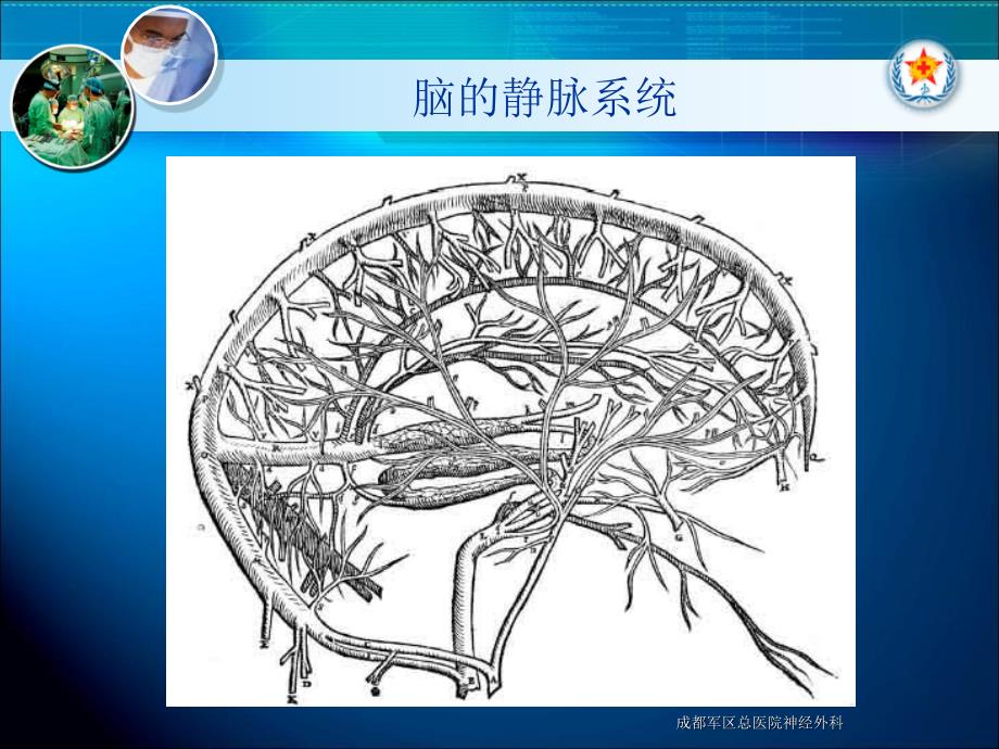 颅脑损伤后静脉回流重建_第4页