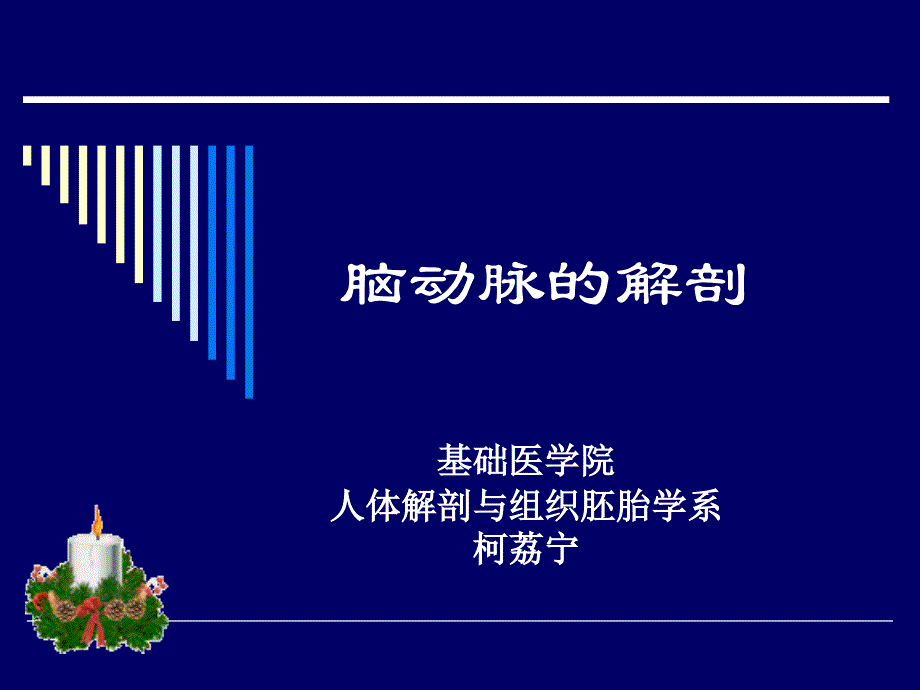 脑动脉willis环的解剖课件.ppt_第1页