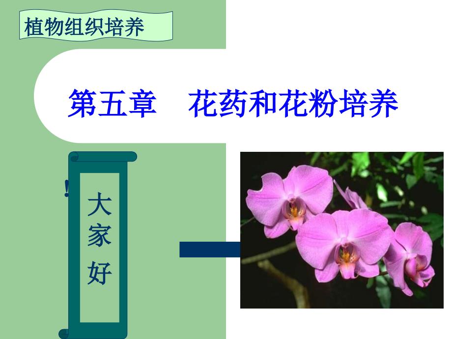 植物花粉和花药培养分析ppt课件_第1页