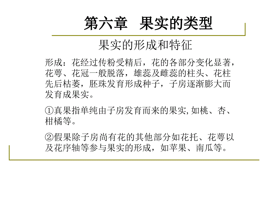 药用植物学-淅江大学06果实教学内容_第2页