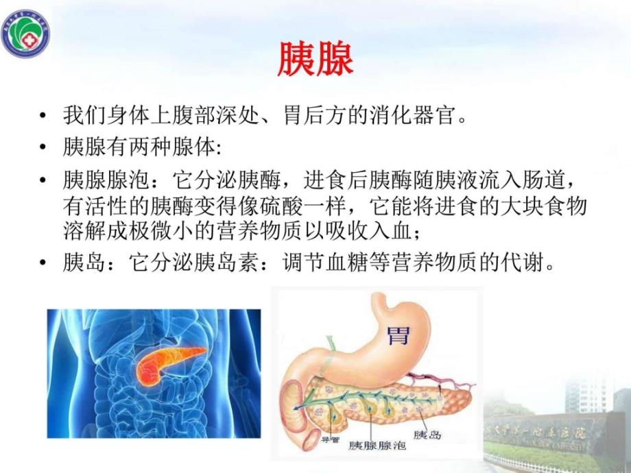 急性胰腺炎健康教育图文.ppt_第3页