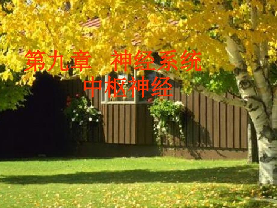 B、脑干讲课课件_第1页