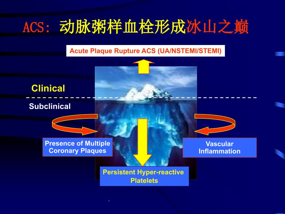 斑块破裂与抗血小板_第4页