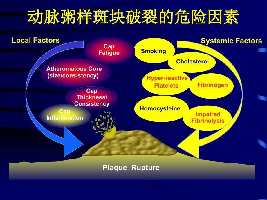 斑块破裂与抗血小板_第5页