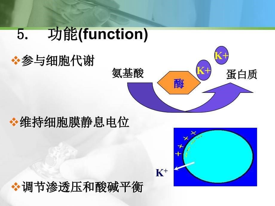 钾代谢障碍本课件_第5页