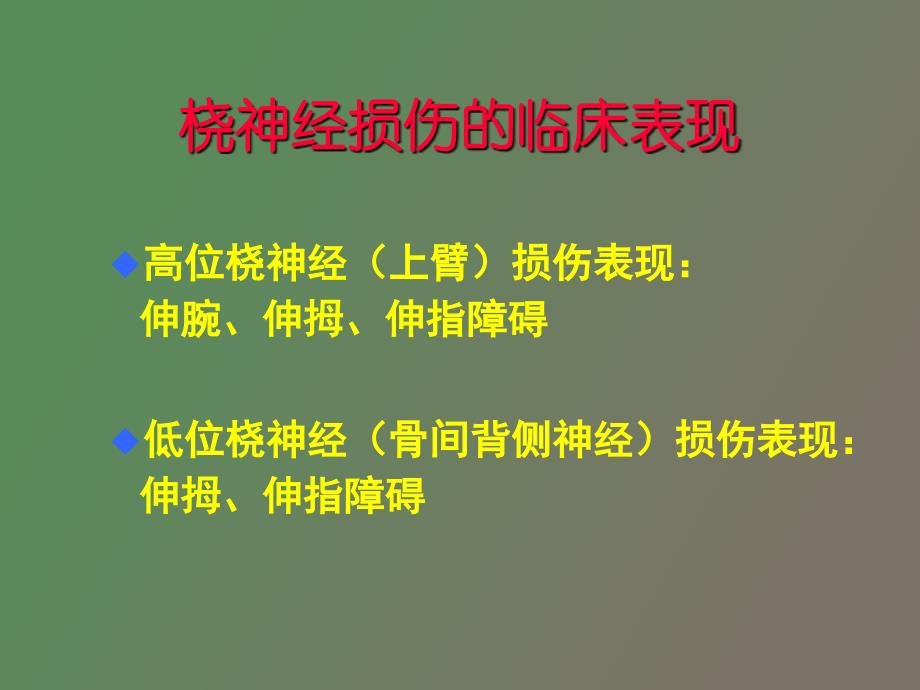 手的神经配布_第4页