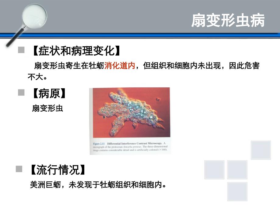 贝类疾病二-寄生虫病1_第4页