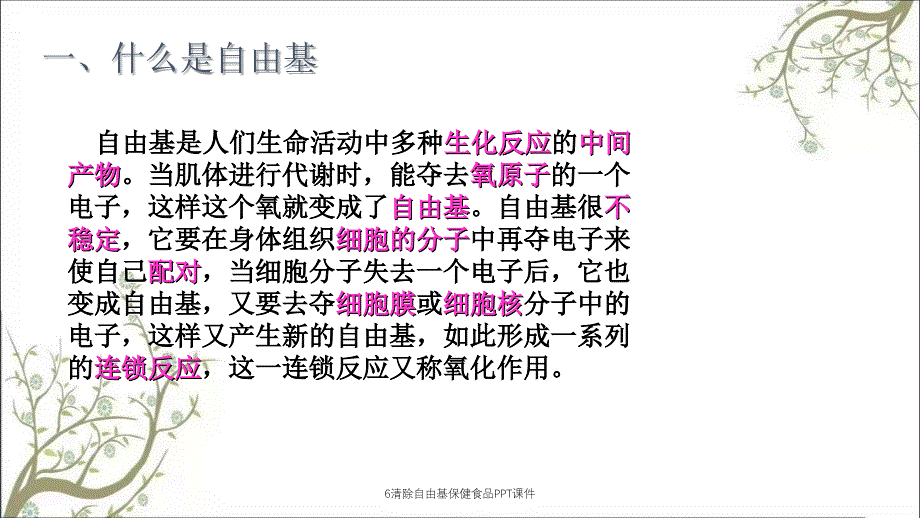 6清除自由基保健食品PPT课件_第2页