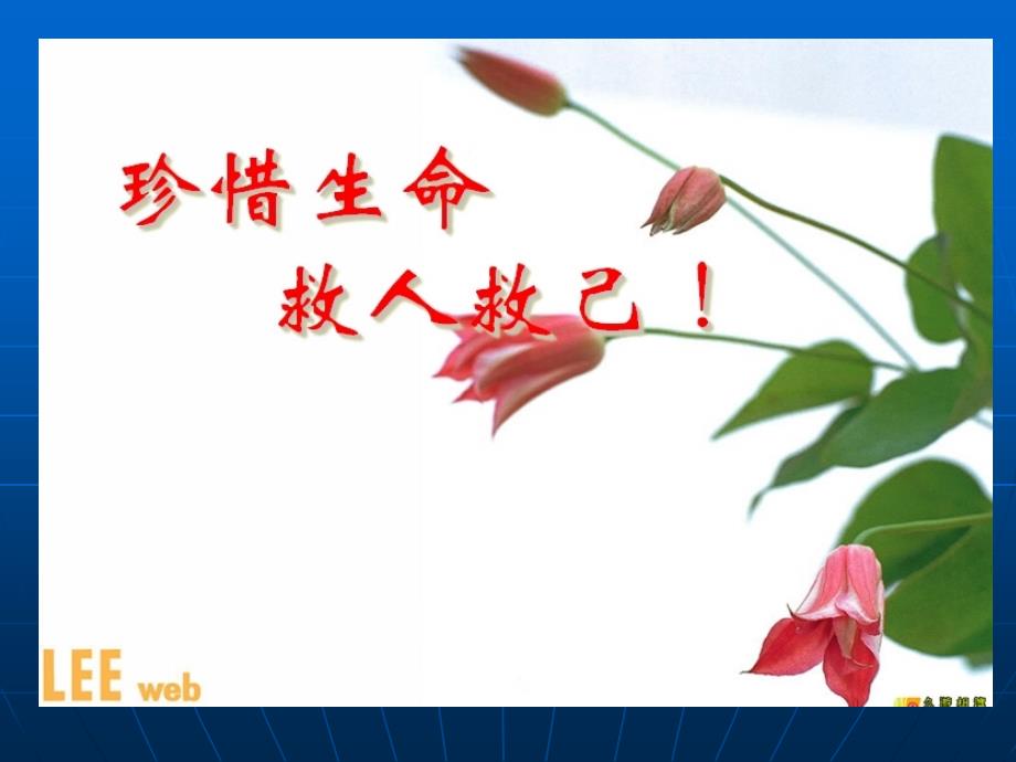 紧急救护培训课件.ppt_第2页