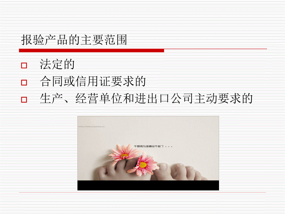 第十四章出口货物报验_第3页