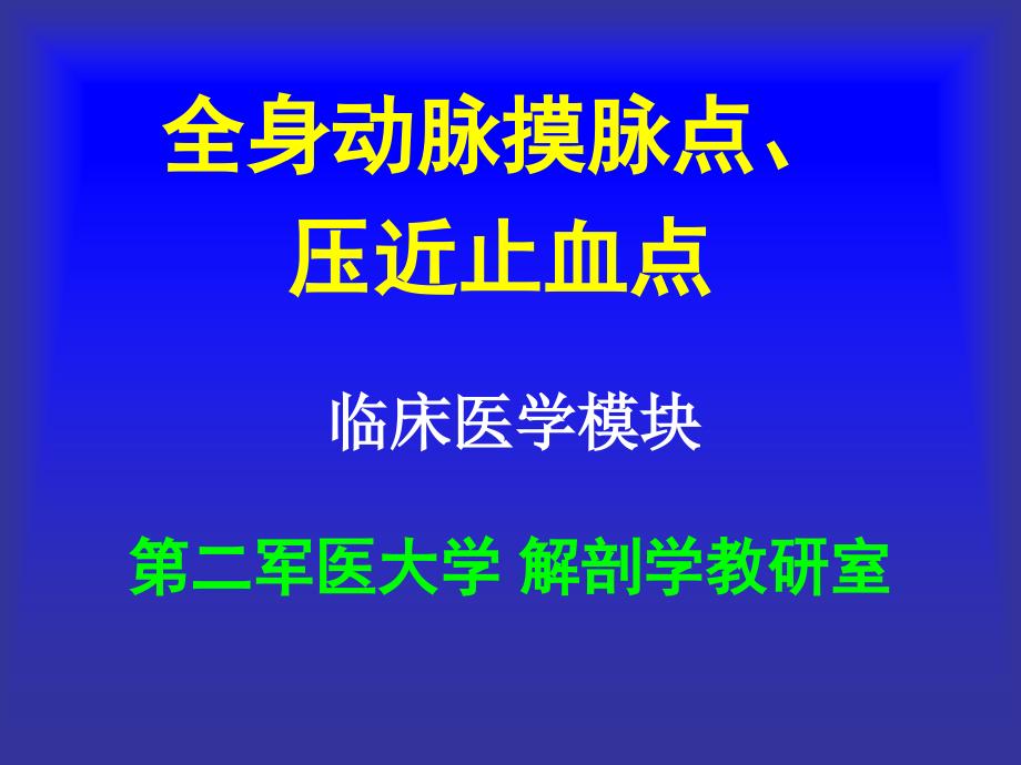 全身动脉摸脉压迫点_第1页