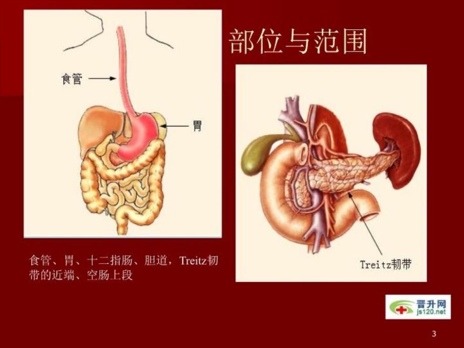 最新医学课件之9精品课件_第3页