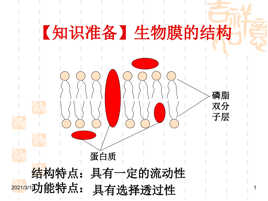 物质跨膜运输的方式公开课精品课件_第1页