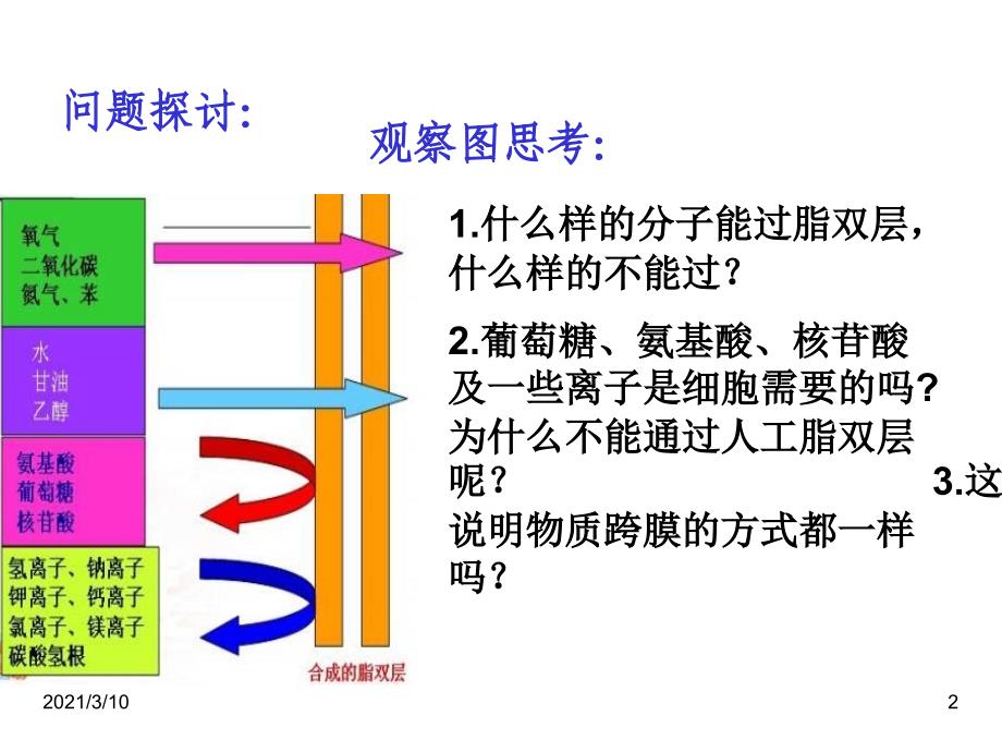 物质跨膜运输的方式公开课精品课件_第2页