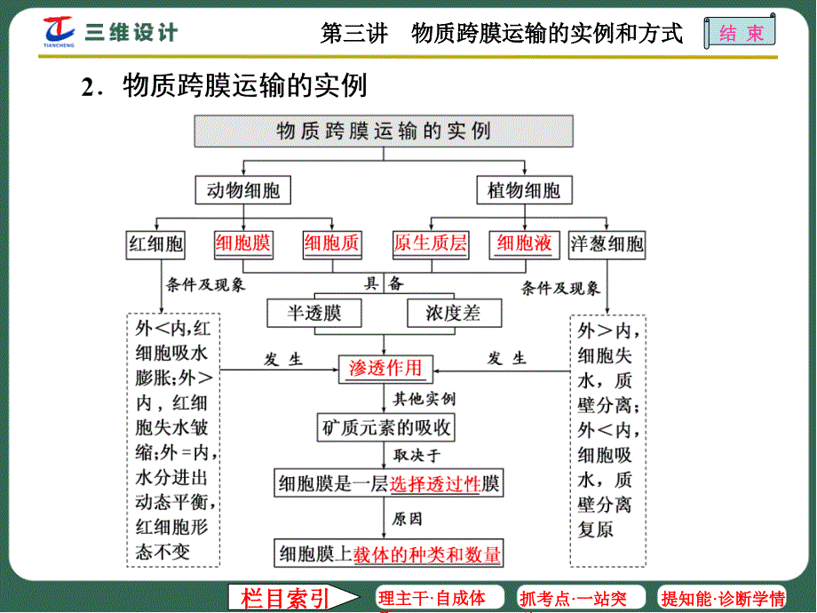 第三讲物质跨膜运输的实例和方式_第2页