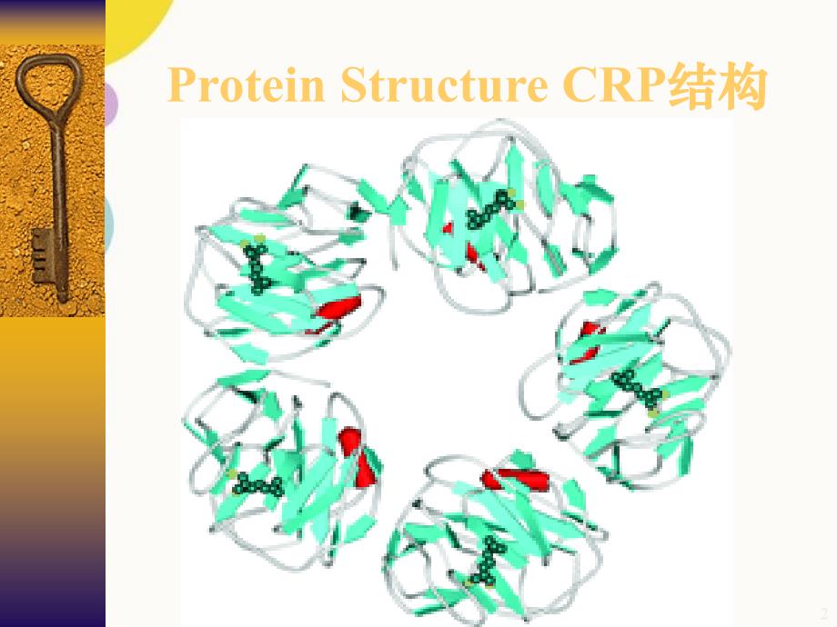 C反应蛋白及临床应用PPT课件_第2页