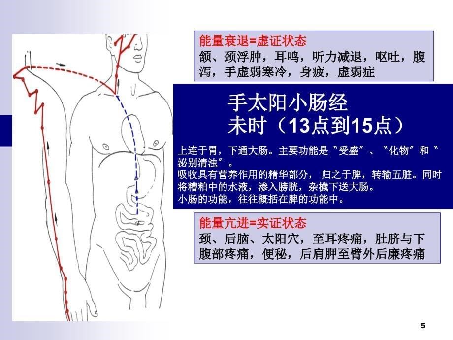 十二经络走向图ppt课件_第5页