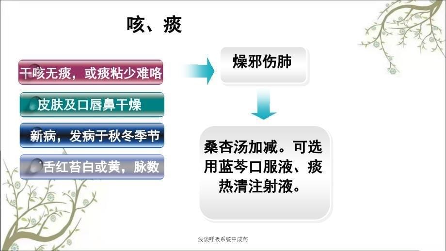 浅谈呼吸系统中成药_第5页