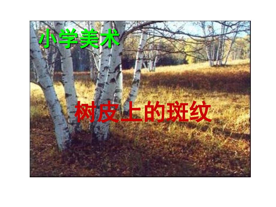 小学美术树皮上的斑纹_第1页