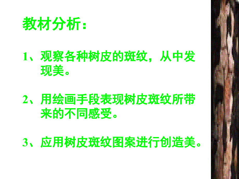 小学美术树皮上的斑纹_第2页