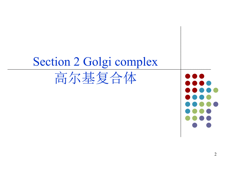 细胞生物学高尔基体_第2页