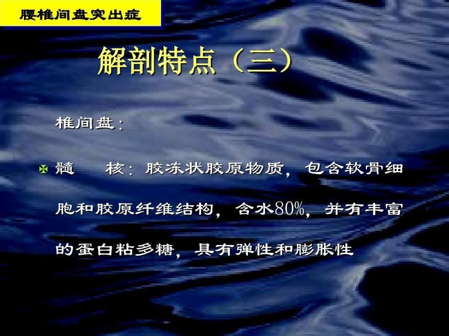 椎间盘突出症ppt课件_第5页