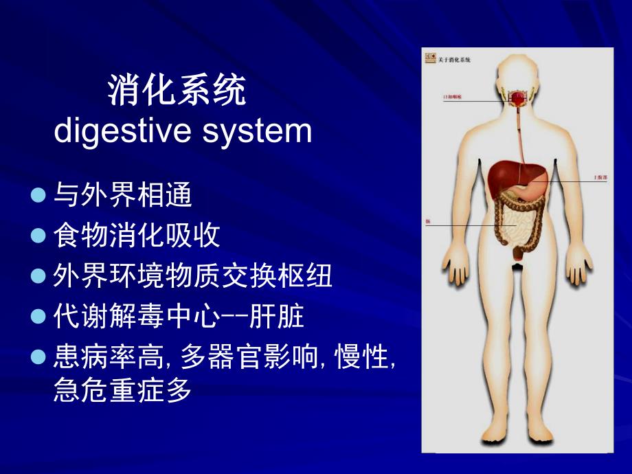 第9章胃炎胃溃疡胃癌阑尾炎_第2页