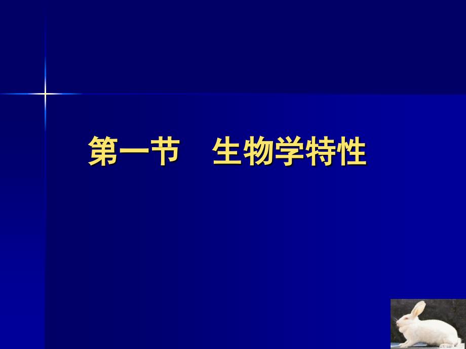 动物实验技术2常用实验动物兔、犬、猴_第3页