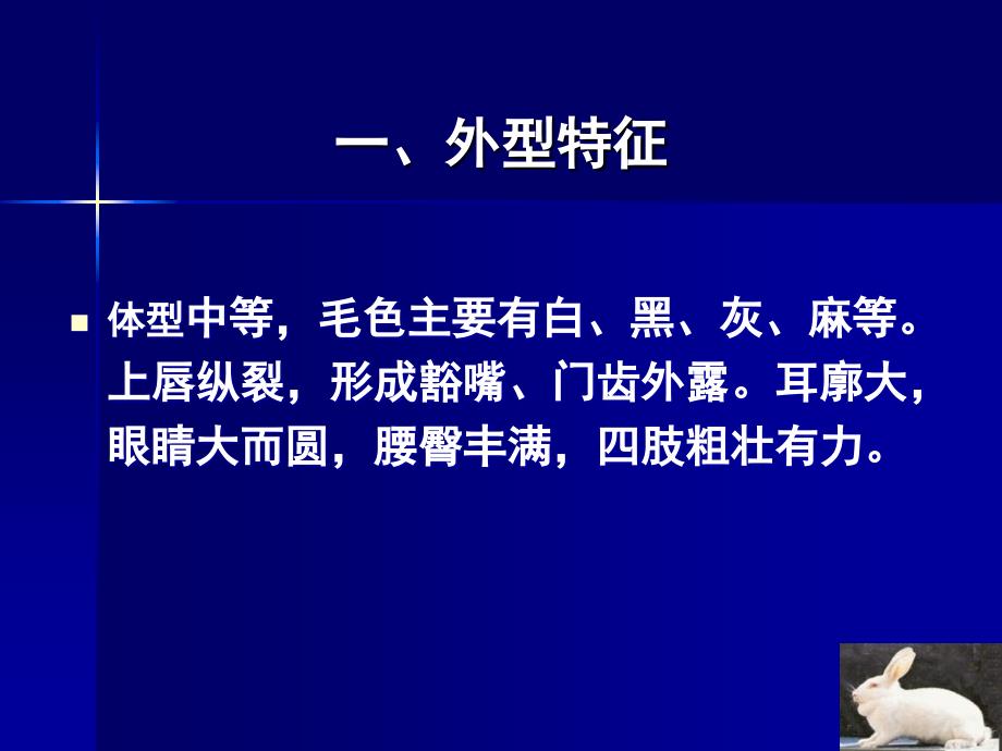 动物实验技术2常用实验动物兔、犬、猴_第4页