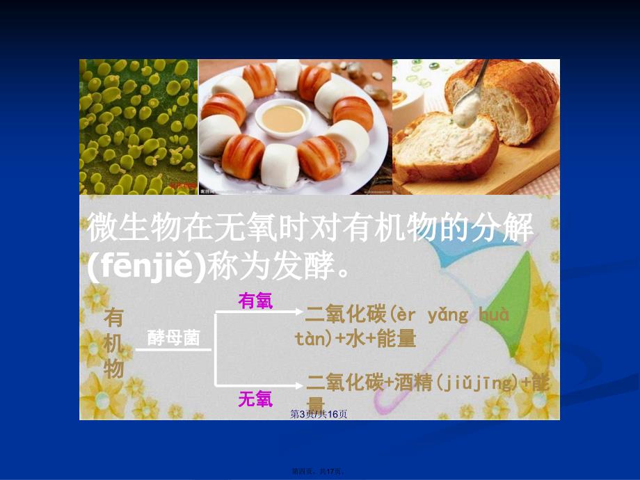 初中生物教学资料微课细菌真菌与食品制作学习教案_第4页